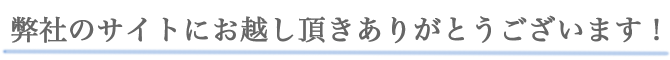 弊社のサイトにお越し頂きありがとうございます。釣具の卸売ならヤマカワにお任せください!